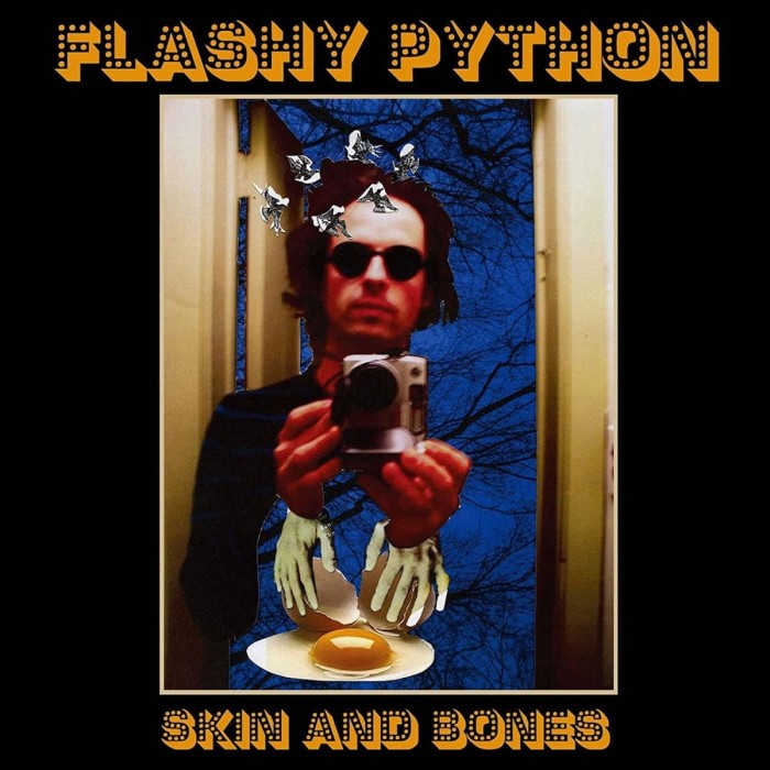 Flashy Python - Skin And Bones