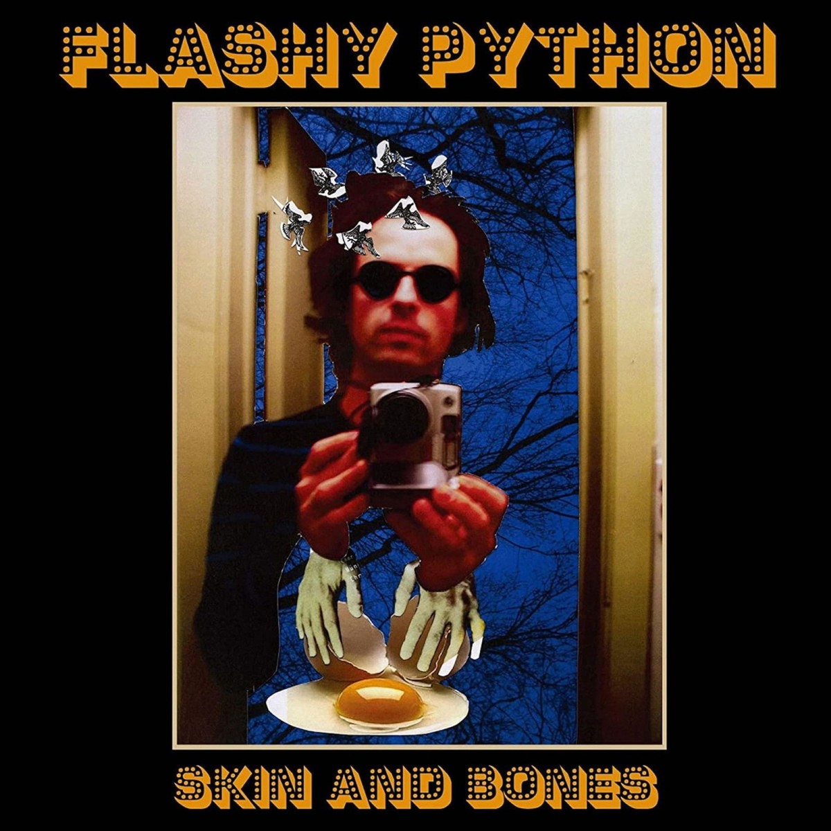 Flashy Python - Skin And Bones