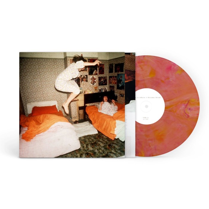 Home Is Where - I Became Birds (Guava Blend Vinyl)