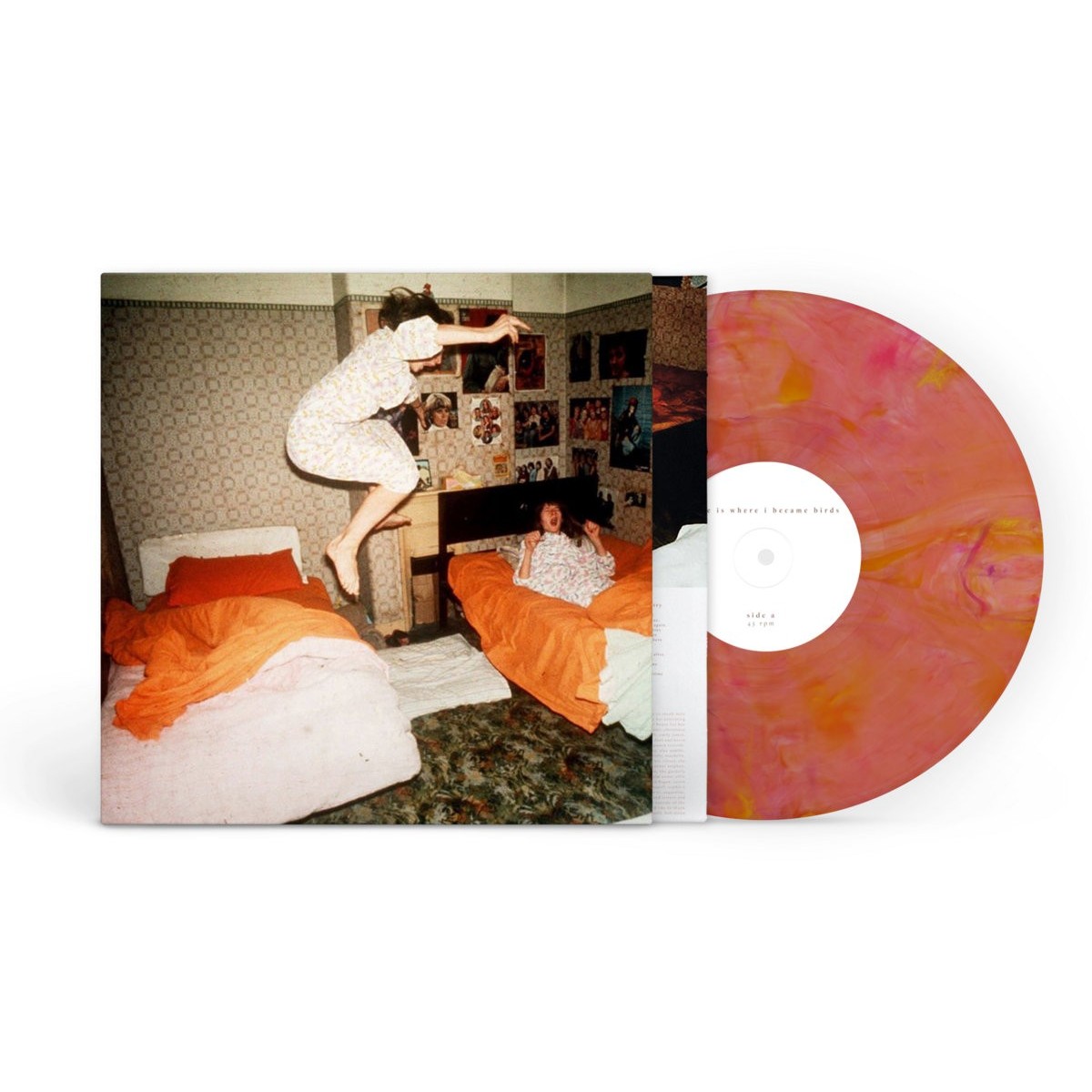 Home Is Where - I Became Birds (Guava Blend Vinyl)