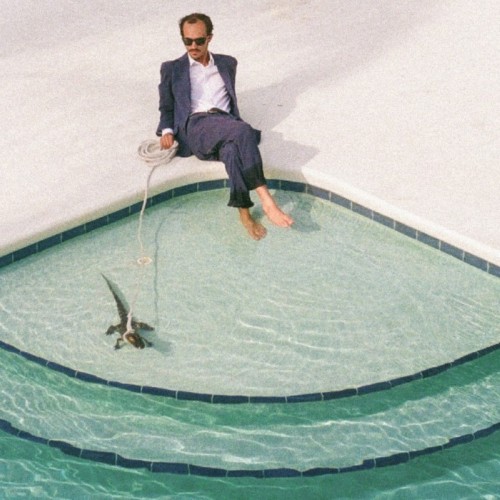 Pwnt - Days In The Summer