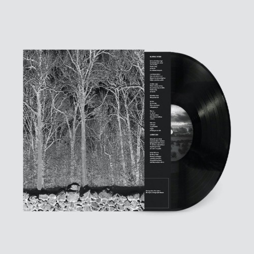 Pile - Sunshine And Balance Beams