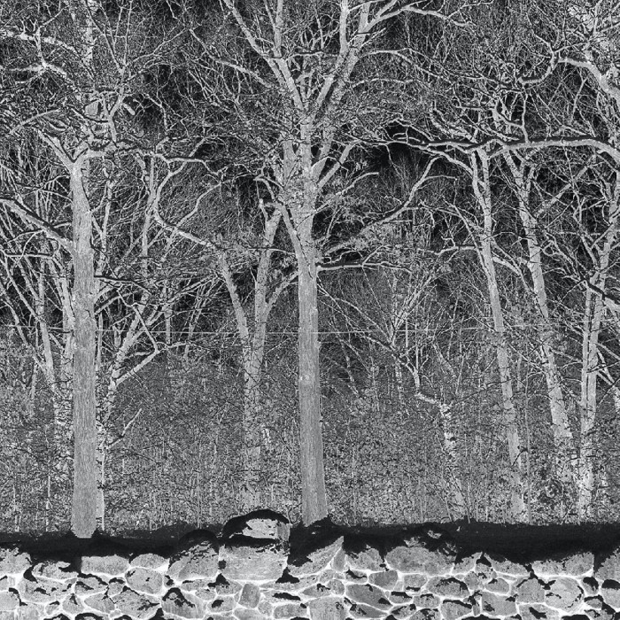 Pile - Sunshine And Balance Beams (Transparent Mix Boris Purple Vinyl)