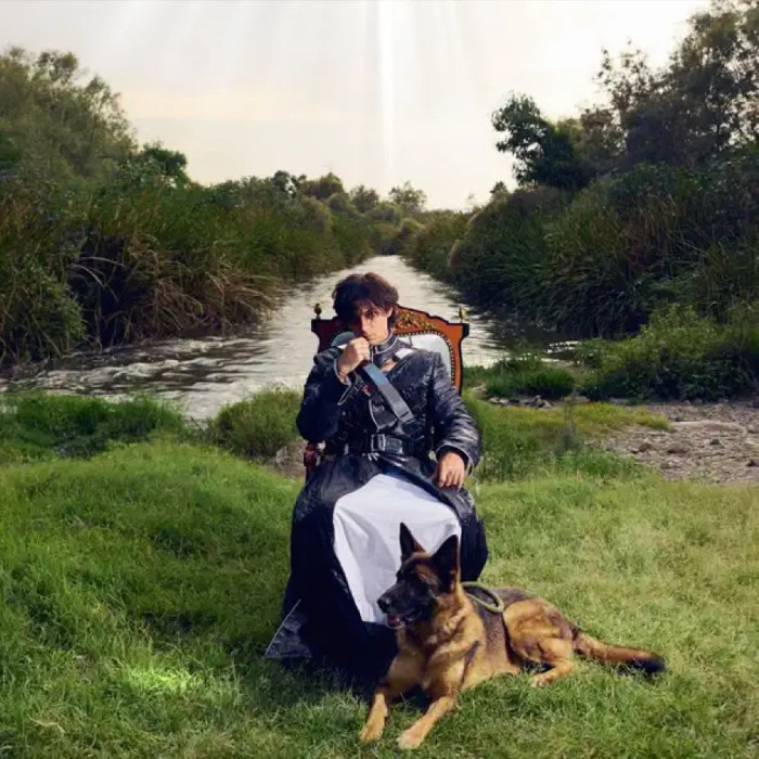 Mishaal Tamer - Home Is Changing