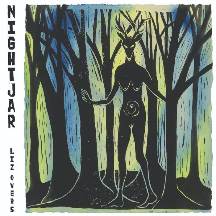 Liz Overs - Nightjar