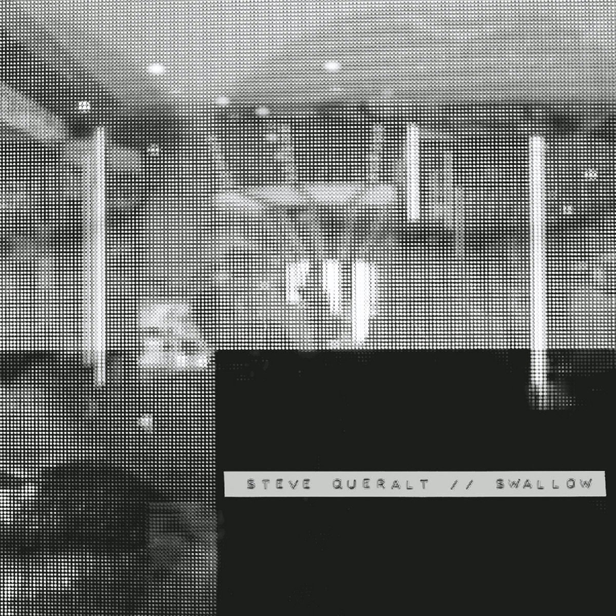 Steve Queralt - Swallow