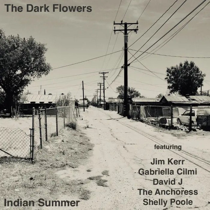 Dark Flowers - Indian Summer (Clear Vinyl)
