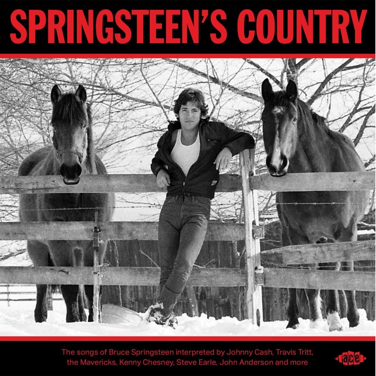 Various Artists - Springsteen's Country