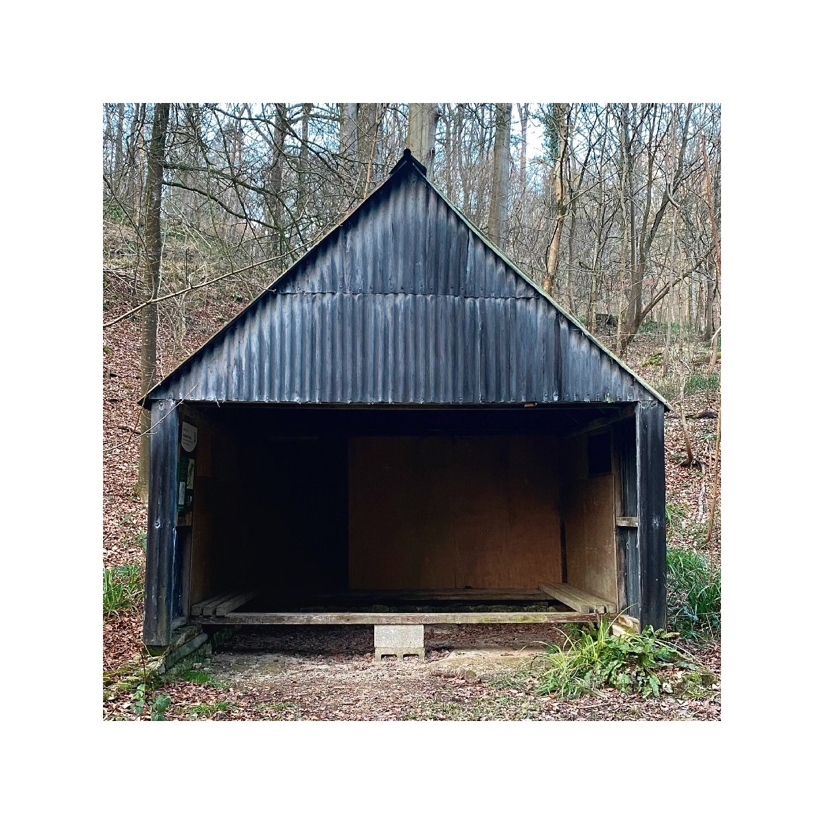 Blancmange - Waiting Room (Volume 2)