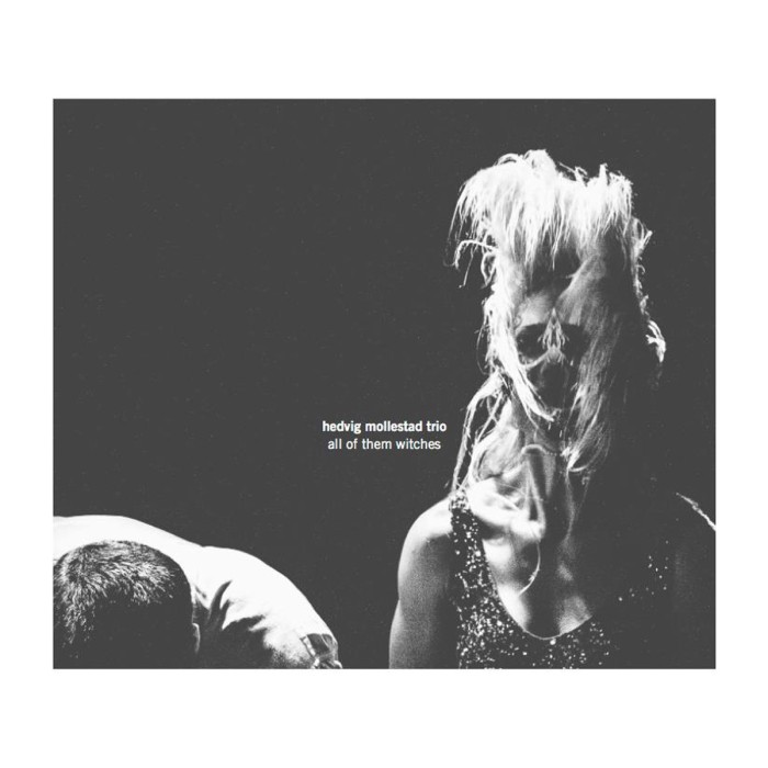 Hedvig Mollestad Trio - All Of Them Witches