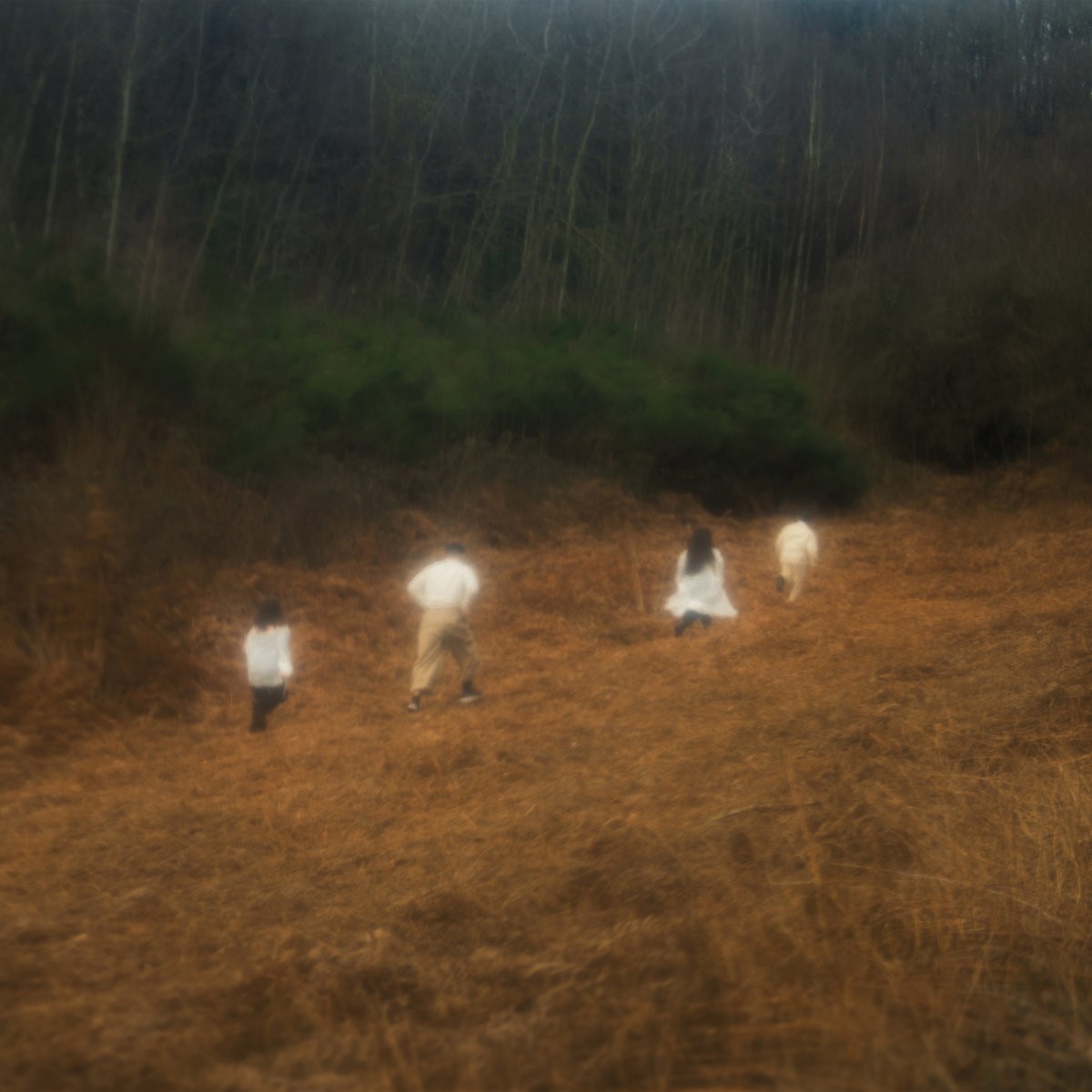 Ninanda - A Place Where