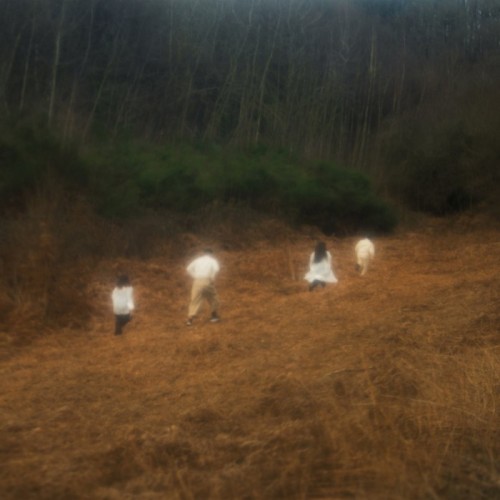 Ninanda - A Place Where