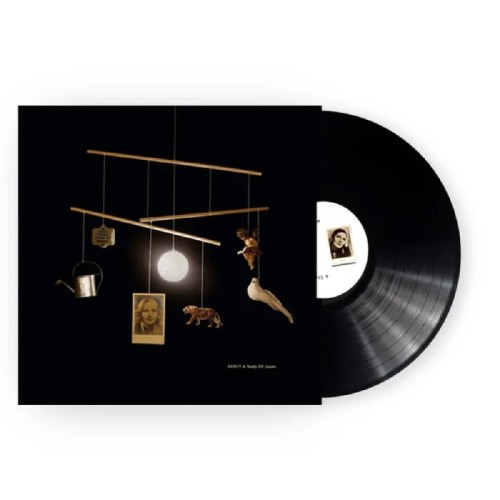 Beirut - A Study Of Losses