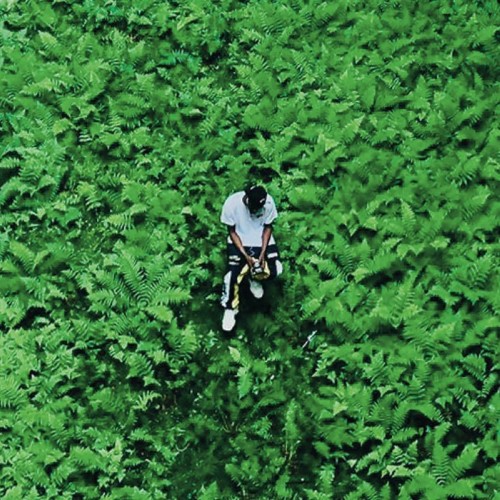 Raz Fresco - Pocket Operations