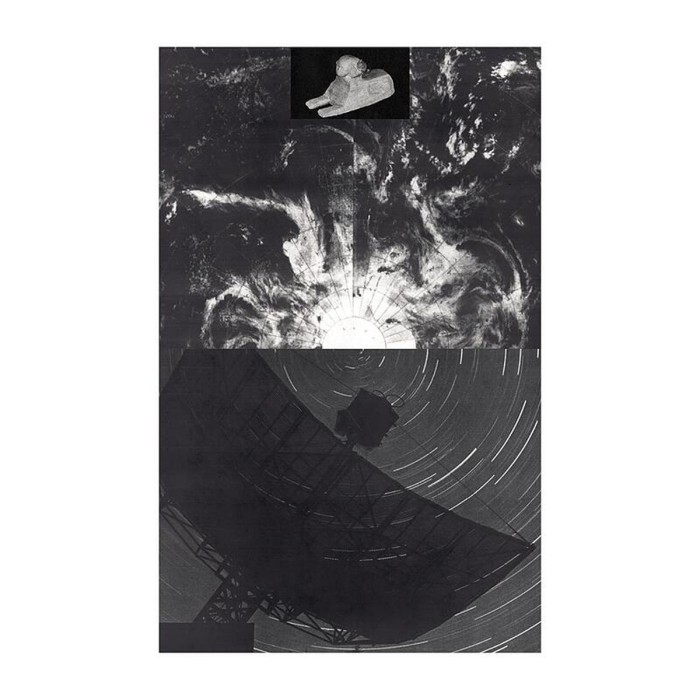 Radio Species - Compressed Knowledge