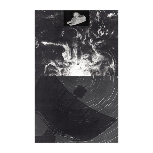 Radio Species - Compressed Knowledge