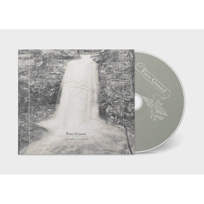 Joseph Decosimo - Fiery Gizzard