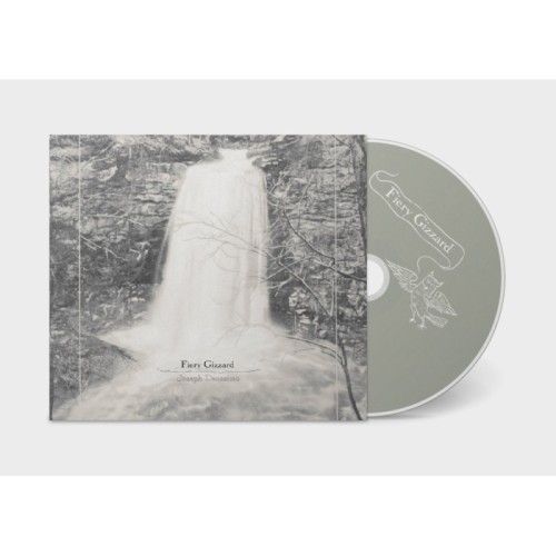 Joseph Decosimo - Fiery Gizzard