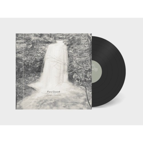 Joseph Decosimo - Fiery Gizzard