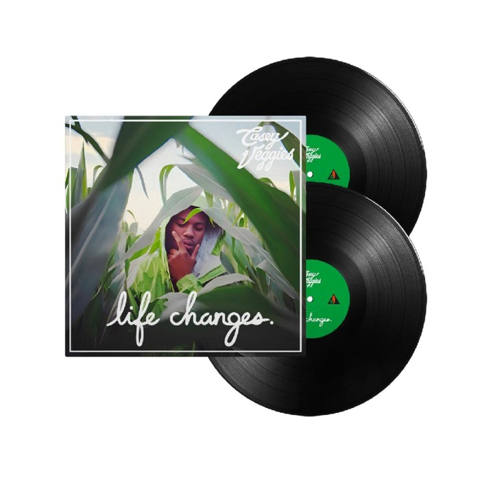 Casey Veggies - Life Changes
