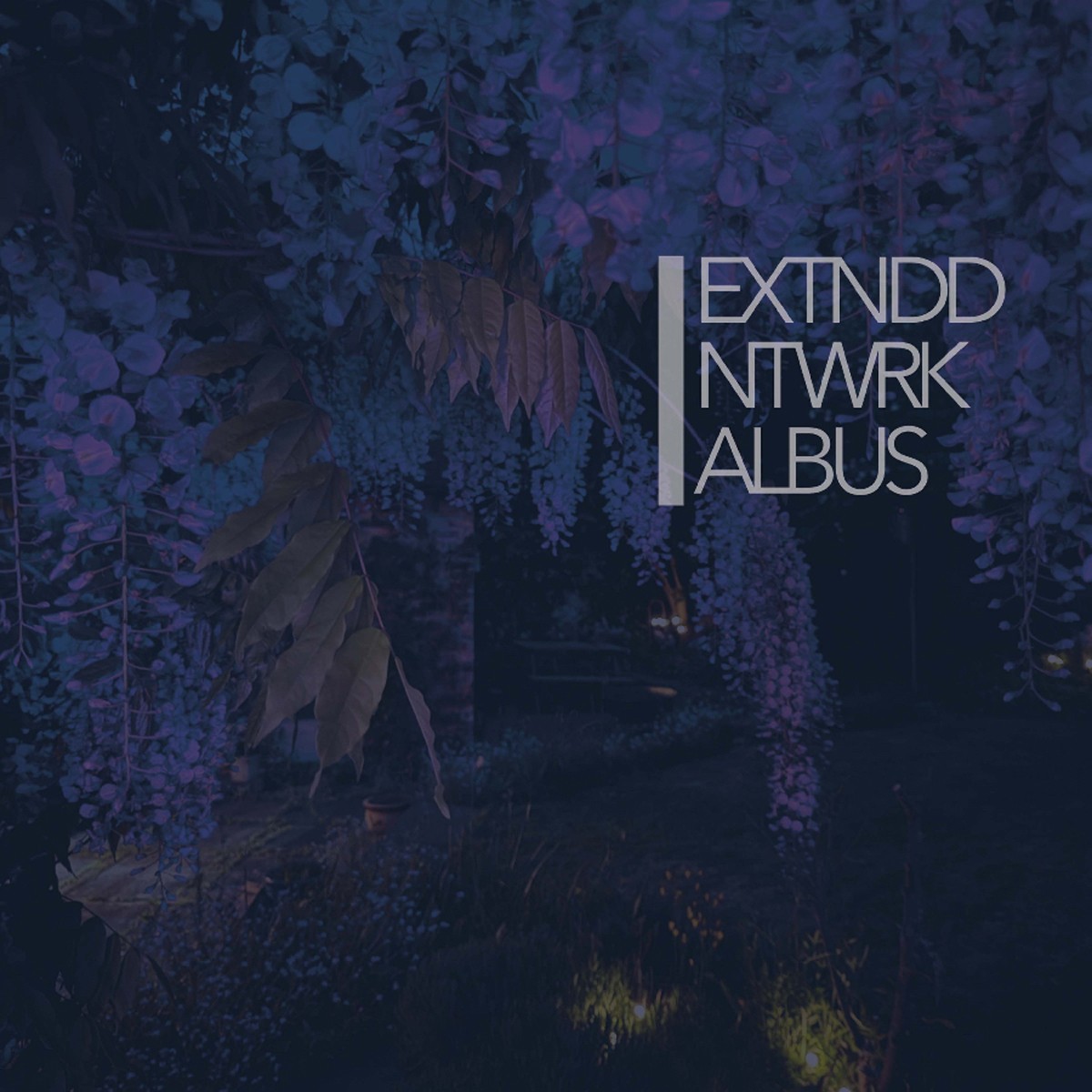 Extnddntwrk - Albus (Blue Vinyl)
