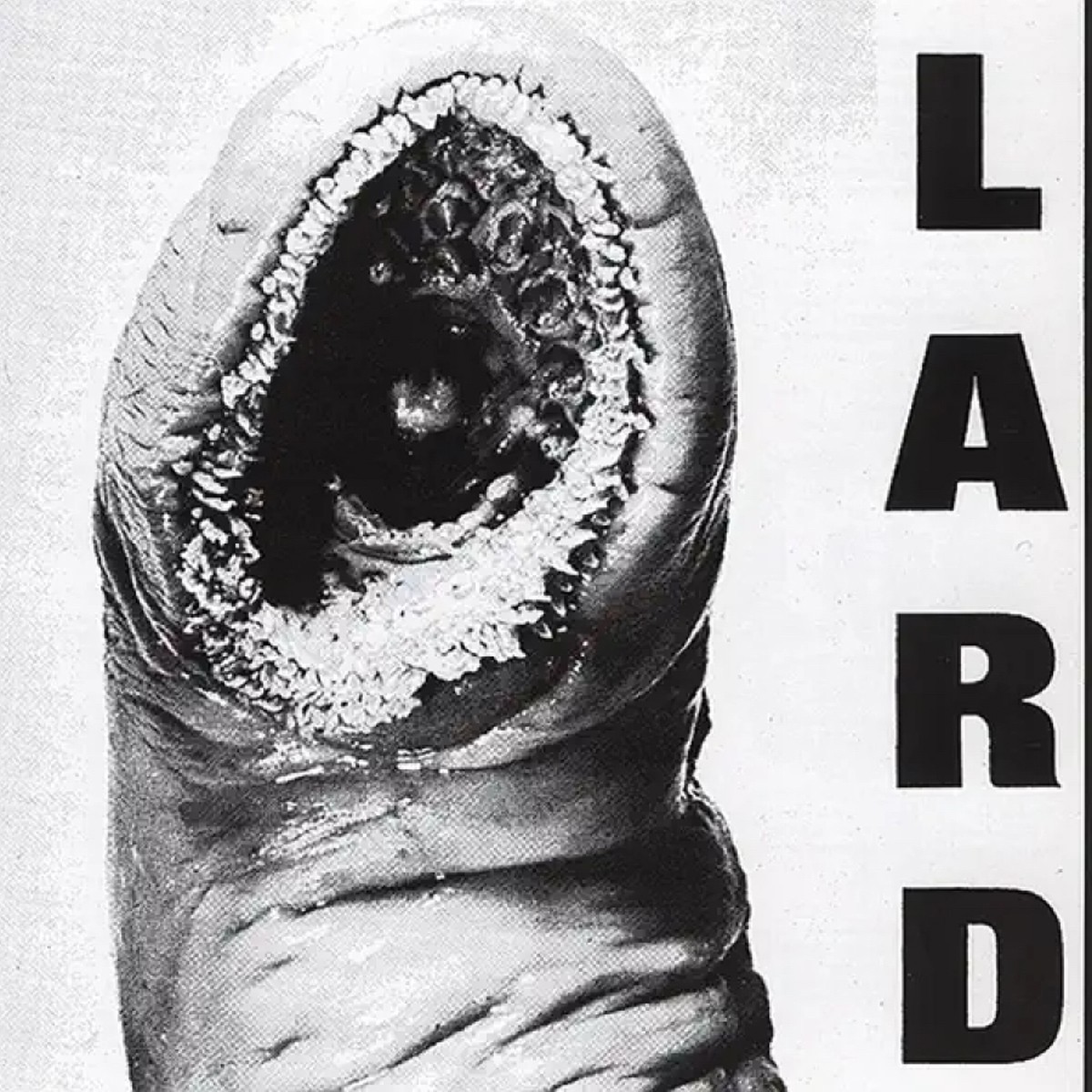 Lard - The Power Of Lard