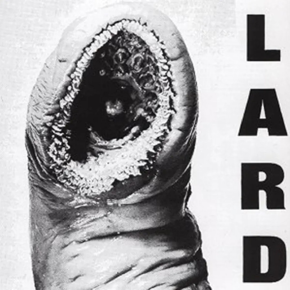Lard - The Power Of Lard (White Vinyl)