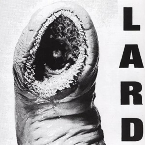 Lard - The Power Of Lard (White Vinyl)