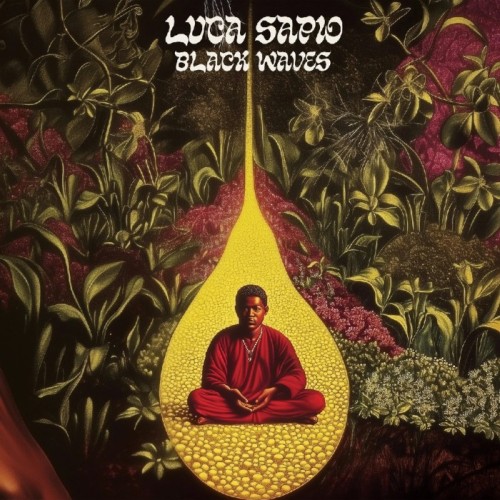 Luca Sapio - Black Waves