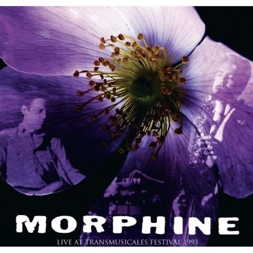 Morphine - Live At Transmusicales Festival 1993