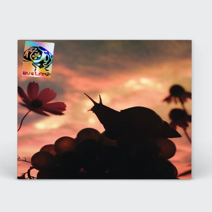 No Joy - Bugland (Exoskeleton Blue Vinyl W/ Foldout Poster)