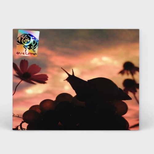 No Joy - Bugland (Exoskeleton Blue Vinyl W/ Foldout Poster)