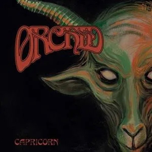 Orchid - Capricorn (Olive Green)