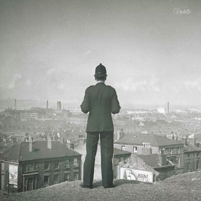 Professor Yaffle - Everyone Wants To Dream