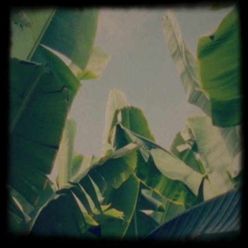 Lagoss - Platano Tapes