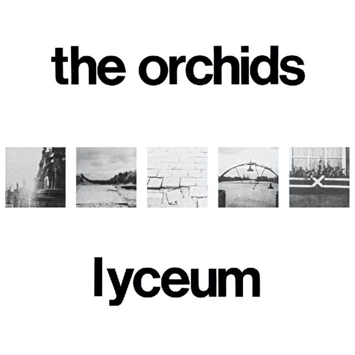 Orchids - Lyceum