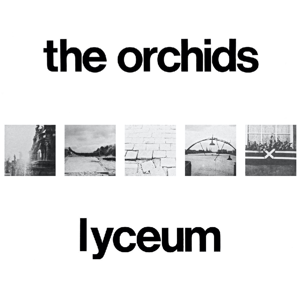 Orchids - Lyceum