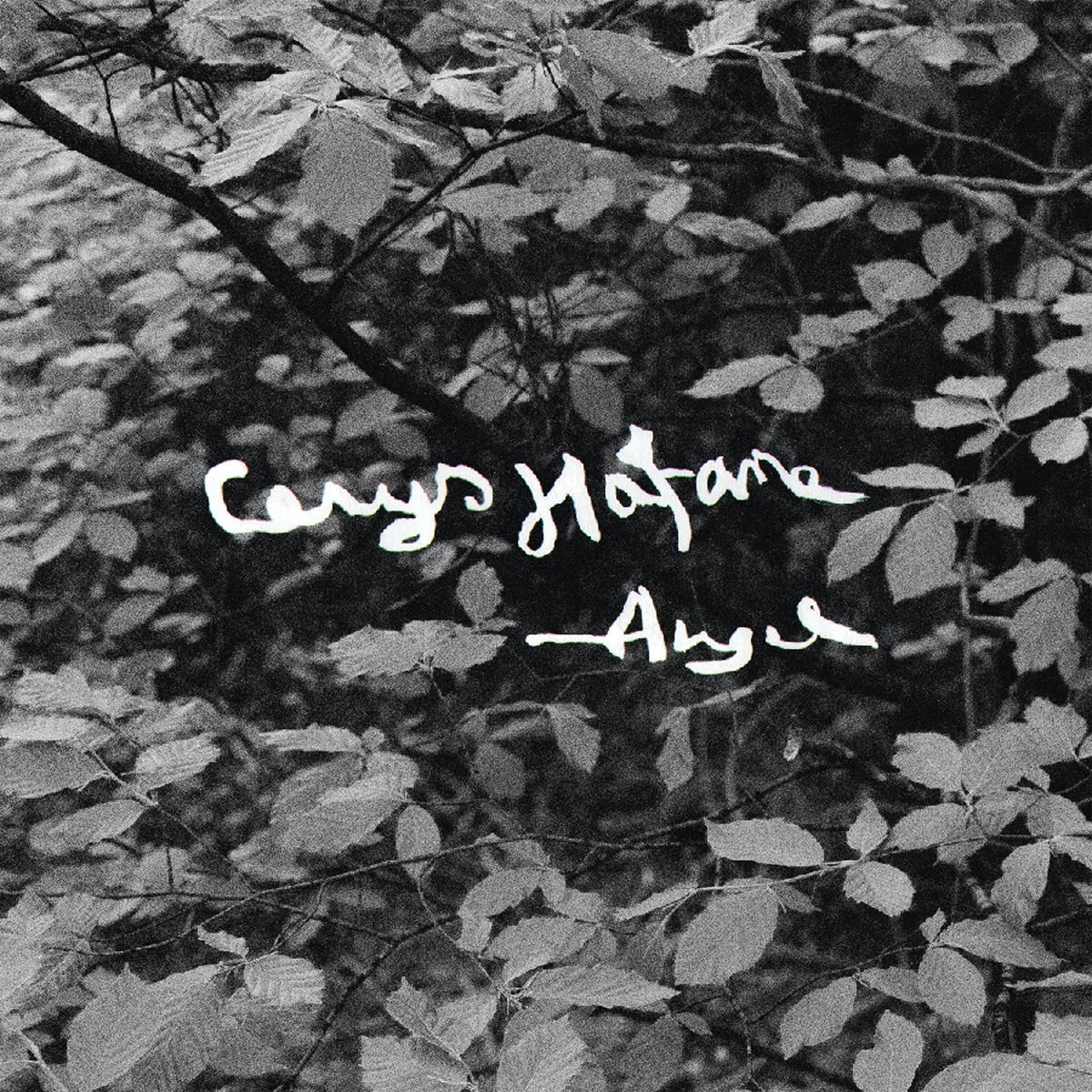 Cerys Hafana - Angel