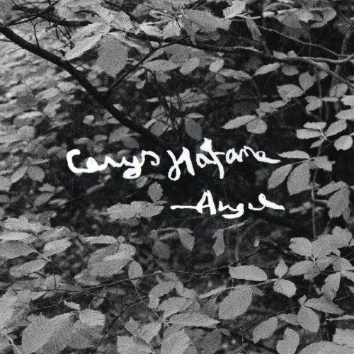 Cerys Hafana - Angel