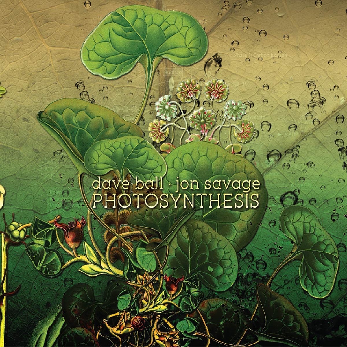Dave Ball & Jon Savage - Photosynthesis