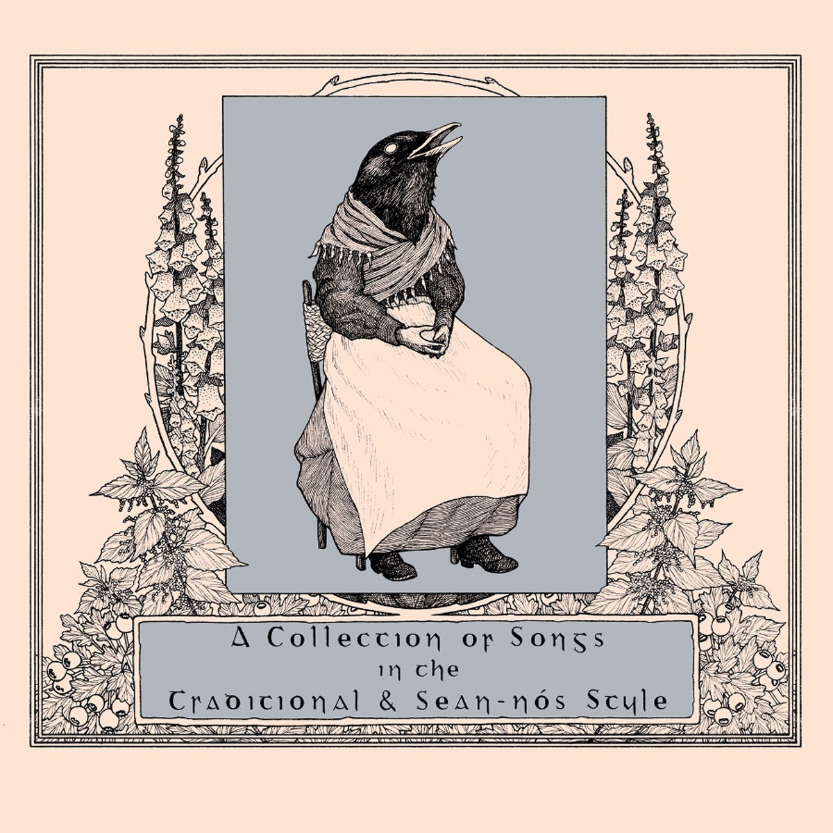 Various Artists - A Collection Of Songs In The Traditional & Sean-Nós Style