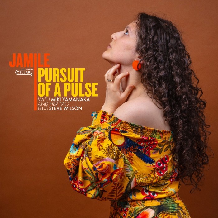 Jamile & Miki Yamanaka & Steve Wilson - Pursuit Of A Pulse