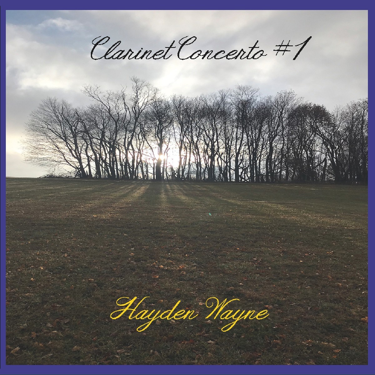Hayden Wayne - Clarinet Concerto N.1