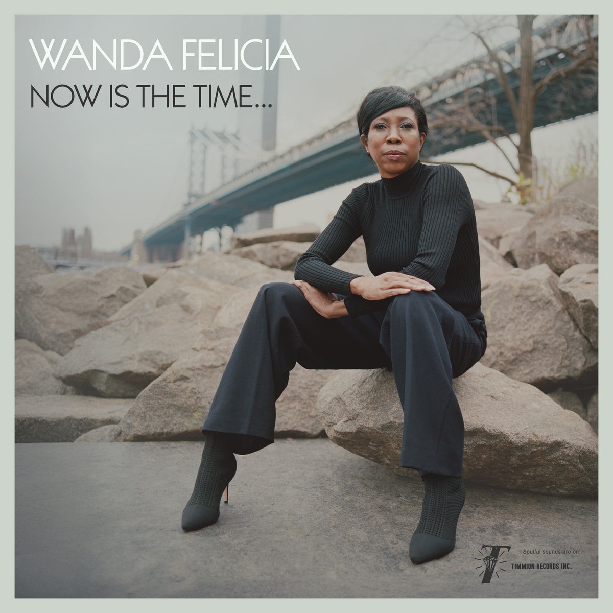 Wanda Felicia & Cold Diamond & Mink - Now Is The Time
