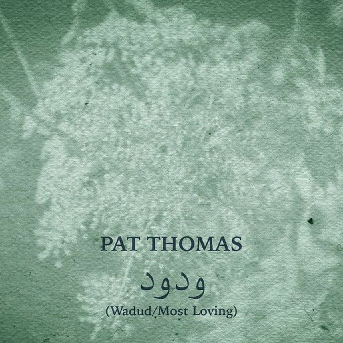 Pat Thomas - Wadud (Most Loving)