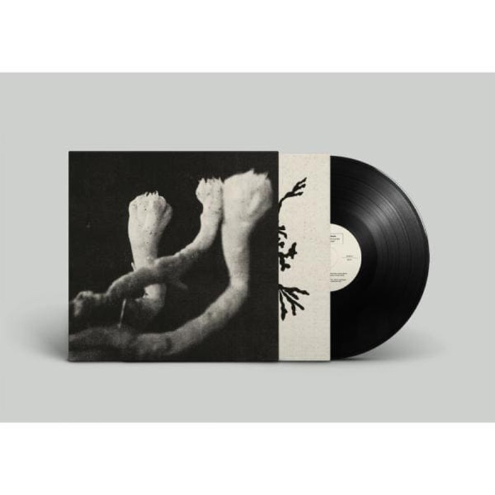 Sophie Angel - Learning