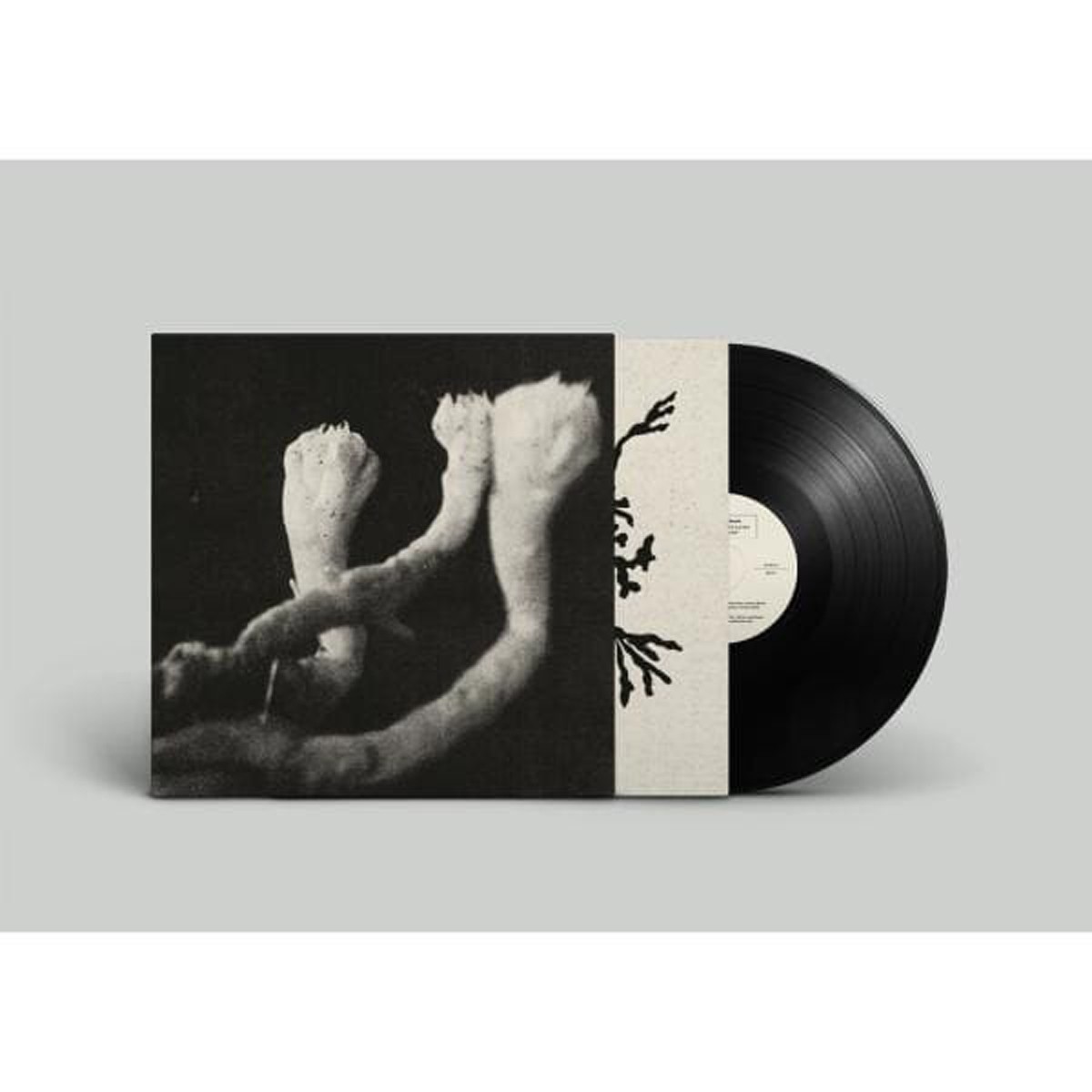 Sophie Angel - Learning