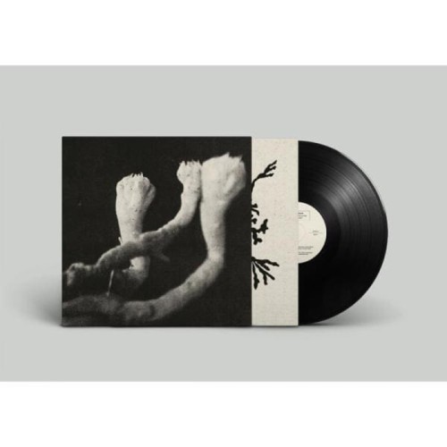 Sophie Angel - Learning