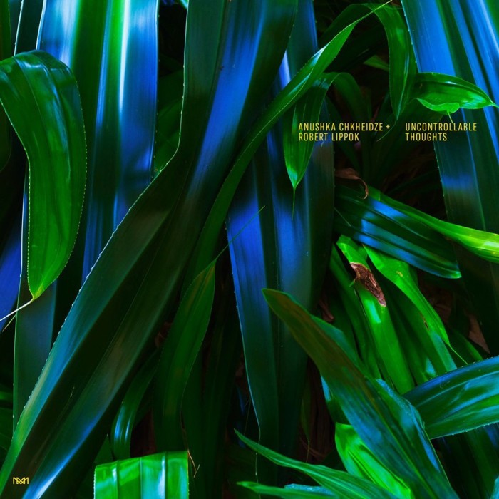 Anushka Chkheidze & Robert Lippok - Uncontrollable Thoughts