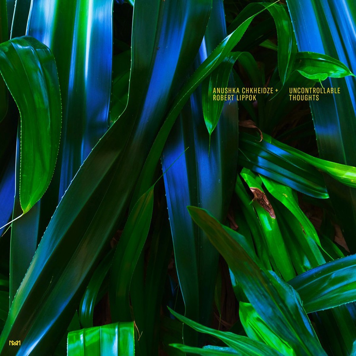 Anushka Chkheidze & Robert Lippok - Uncontrollable Thoughts